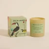 CELIA LOVES 80hr Candle GREEN PEAR SPICED
