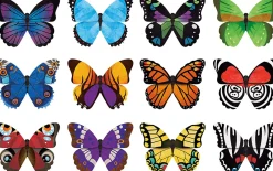 Memory Match BUTTERFLIES