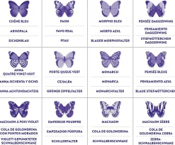 Memory Match BUTTERFLIES