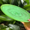 NASHI Everyday Large Platter PERIDOT