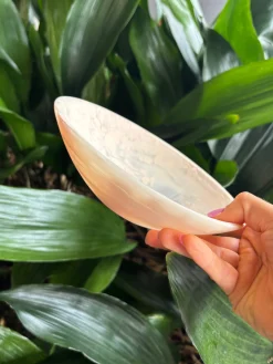 NASHI Everyday Small Bowl BLUSH