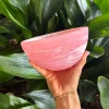 NASHI Wave Bowl Small PINK