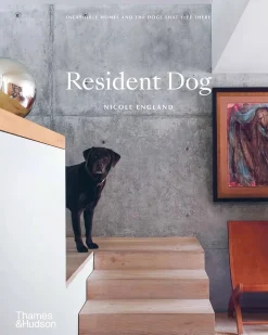 Resident Dog