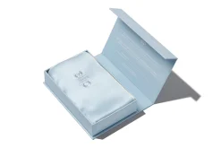 SLIP Silk Pillowcase SEABREEZE
